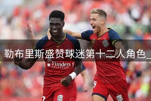 勒布里斯盛赞球迷第十二人角色 桑德兰主场奏凯